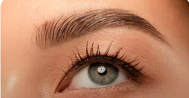 لیست بهترین مراکز لیفت مژه در فرمانیه + هزینه لیفت مژه
