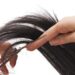 لیست بهترین مراکز کوتاهی مو در فرشته + هزینه کوتاهی مو