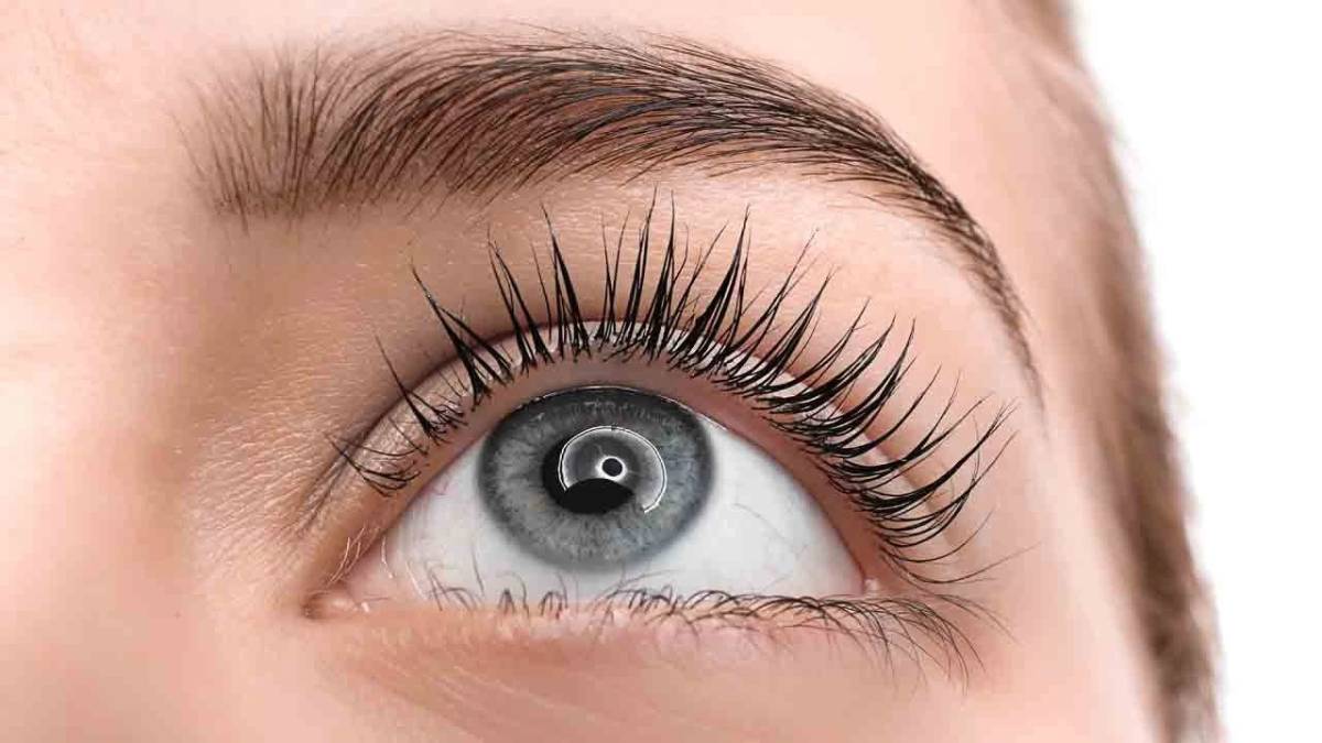 لیست بهترین مراکز لمینت مژه در منظریه + هزینه لمینت مژه
